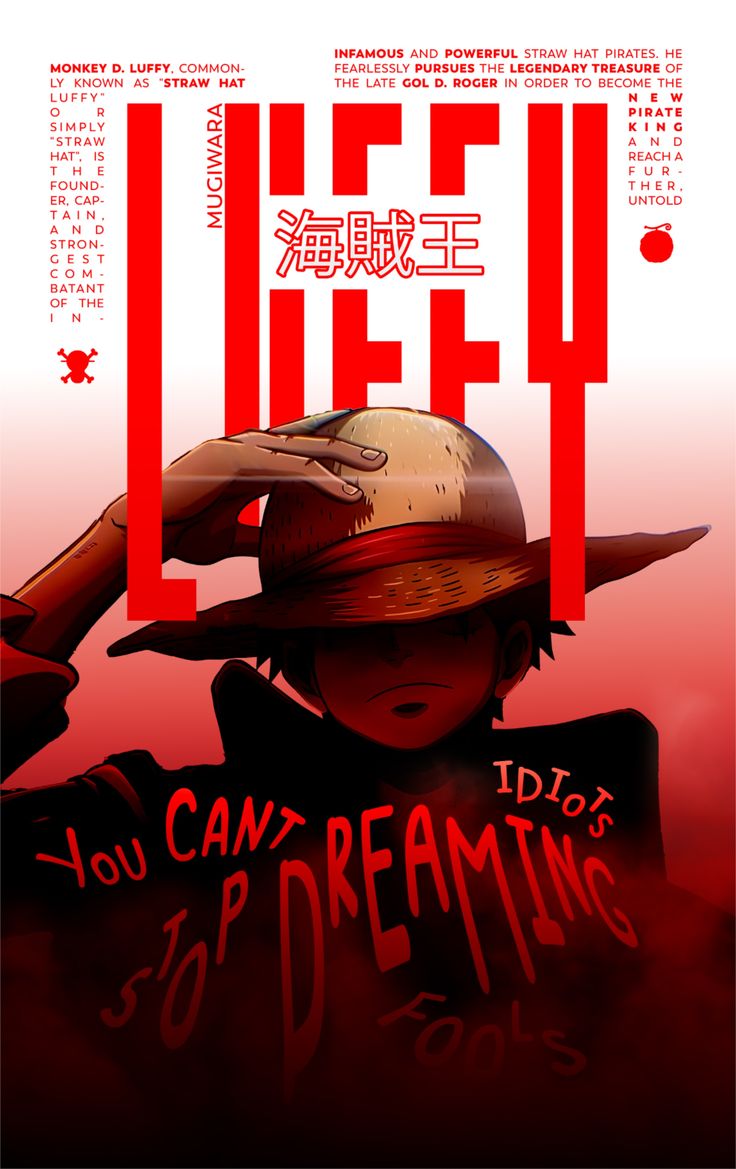 Pirate King's Dream | Monkey D. Luffy